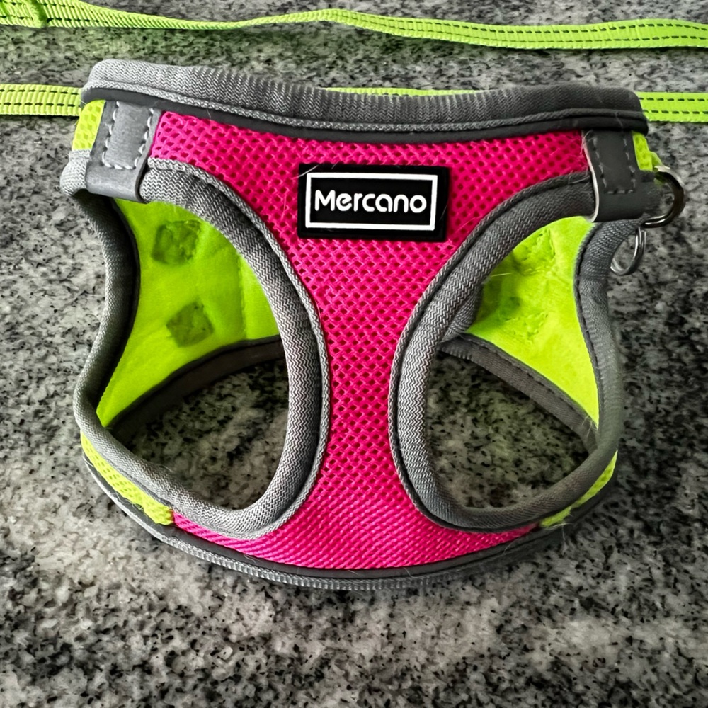 [Mercano] Hot Pink Bright Green Mesh Harness & Dog Leash Set XS